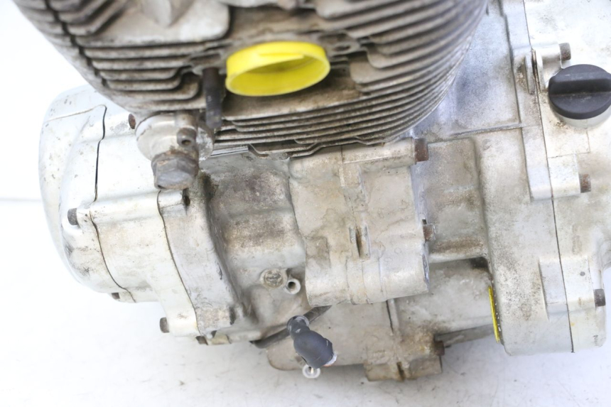 photo de MOTOR YAMAHA XV VIRAGO 535 (1988 - 2004)