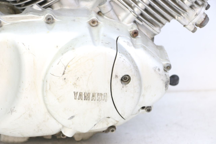 photo de MOTOR YAMAHA XV VIRAGO 535 (1988 - 2004)