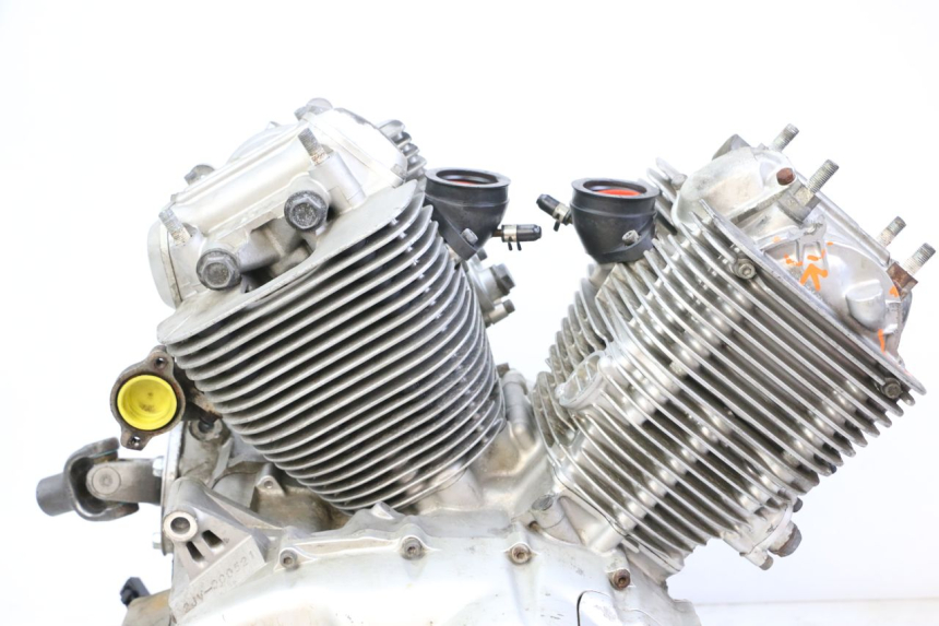 photo de MOTOR YAMAHA XV VIRAGO 535 (1988 - 2004)