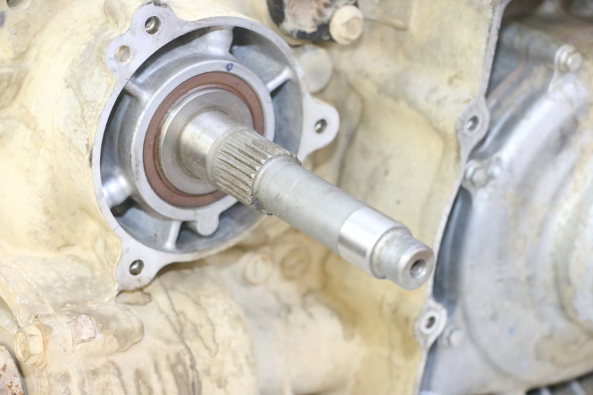 photo de MOTOR YAMAHA YFM GRIZZLY 550 (2008 - 2015)