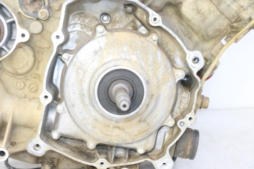 photo de MOTOR YAMAHA YFM GRIZZLY 550 (2008 - 2015)