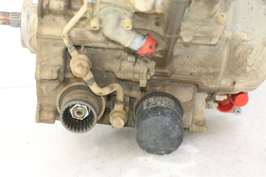 photo de MOTOR YAMAHA YFM GRIZZLY 550 (2008 - 2015)