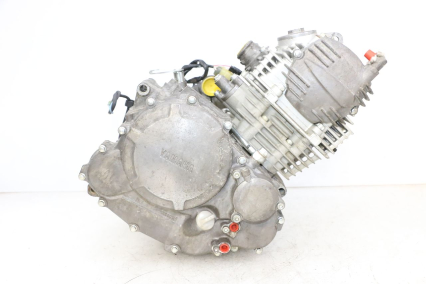 photo de MOTOR YAMAHA YFM R RAPTOR 250 (2008 - 2014) - Zoom sobre los componentes