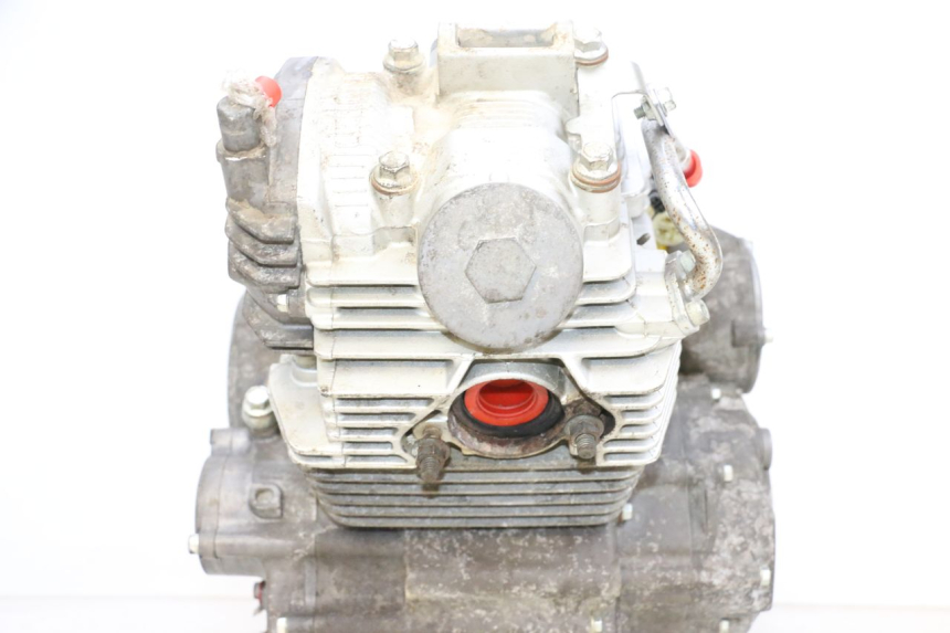 photo de MOTOR YAMAHA YFM R RAPTOR 250 (2008 - 2014) - Primer plano de alta resolución