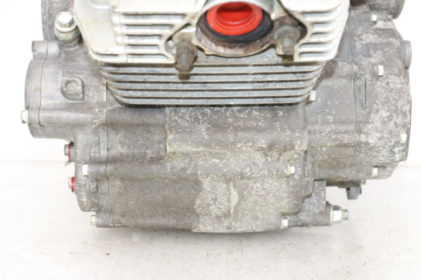 photo de MOTOR YAMAHA YFM R RAPTOR 250 (2008 - 2014) - Foto de producto adicional