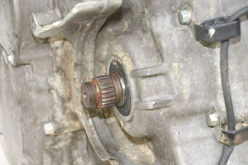 photo de MOTOR YAMAHA YFM R RAPTOR 250 (2008 - 2014) - Primer plano técnico