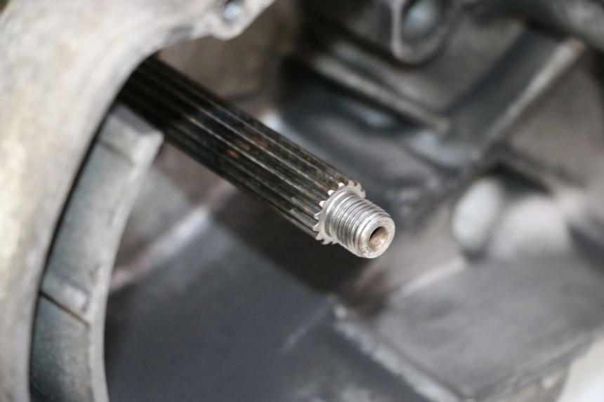 photo de MOTOR YAMAHA YP MAJESTY 125 (2002 - 2006)