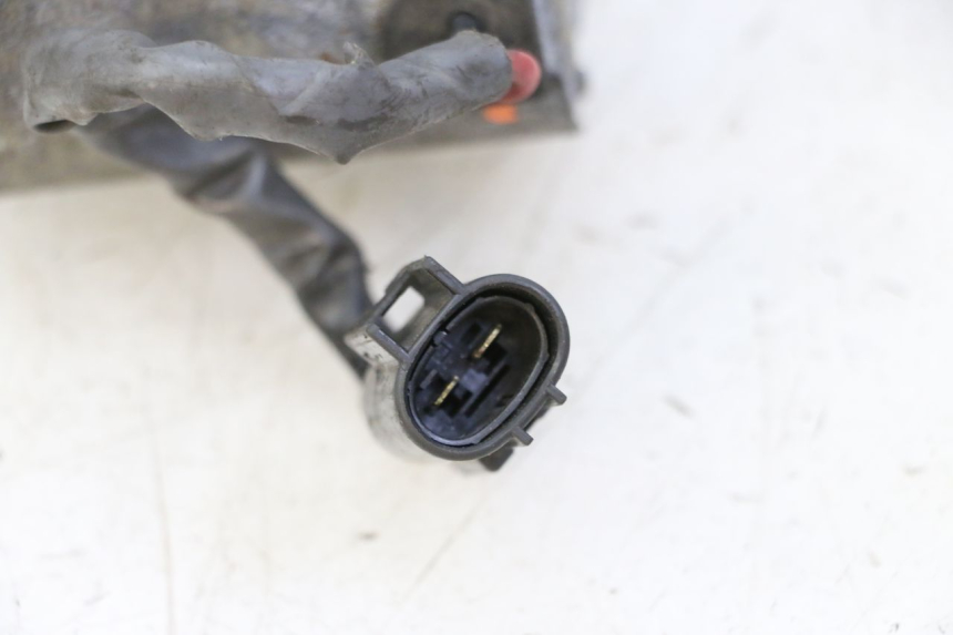 photo de PIñóN SUZUKI BURGMAN 650 (2002 - 2004)