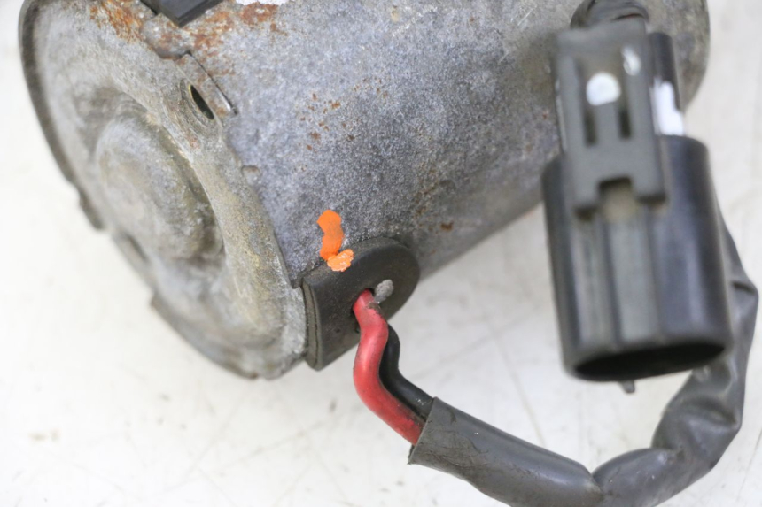 photo de PIñóN SUZUKI BURGMAN 650 (2002 - 2004)