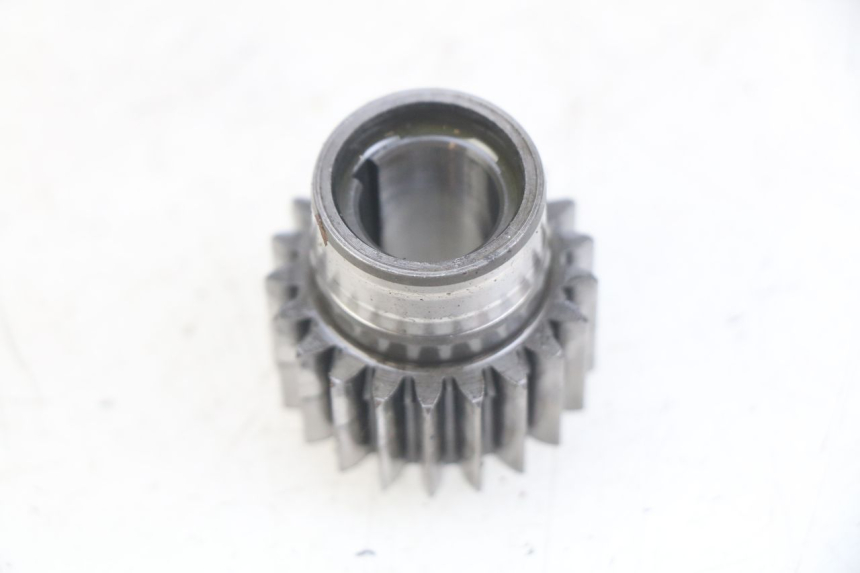 photo de PIÑÓN DE TRANSMISIÓN GAS-GAS SM ROOKIE 50 (2001 - 2005)
