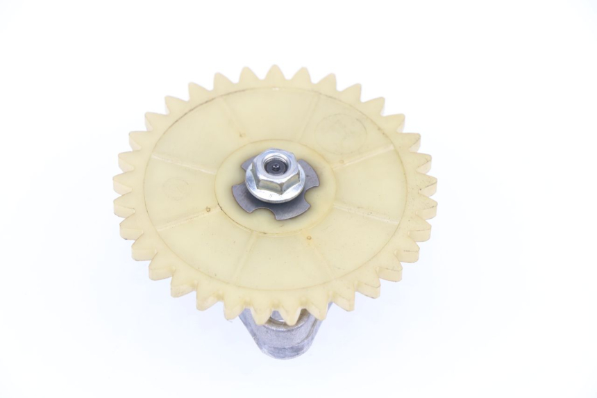 photo de BOMBA ACEITE TNT MOTOR ROMA 10' 4T 50 (2007 - 2018)