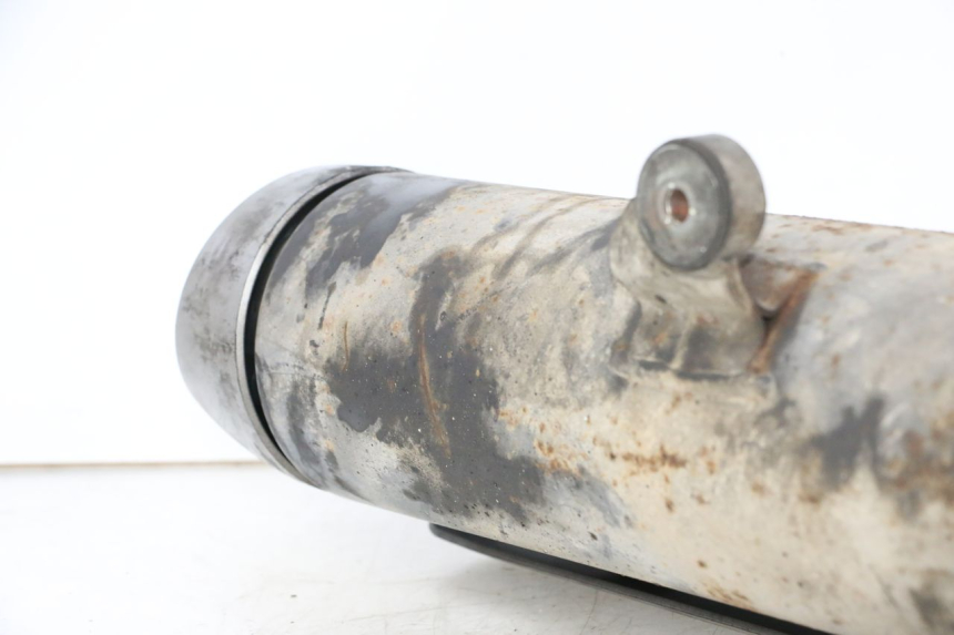 photo de ESCAPE SUZUKI BURGMAN 125 (2007 - 2014)