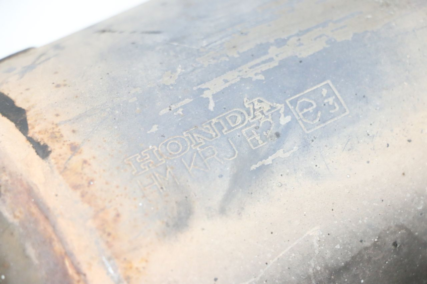 photo de ESCAPE HONDA FES S-WING SWING ABS 125 (2007 - 2015)