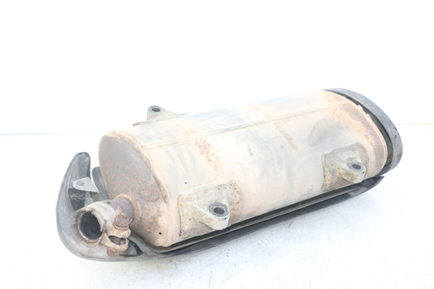 photo de ESCAPE HONDA FORZA ABS 300 (2013 - 2019)