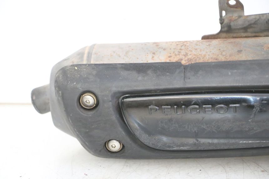 photo de ESCAPE PEUGEOT KISBEE 2T 50 (2010 - 2017)