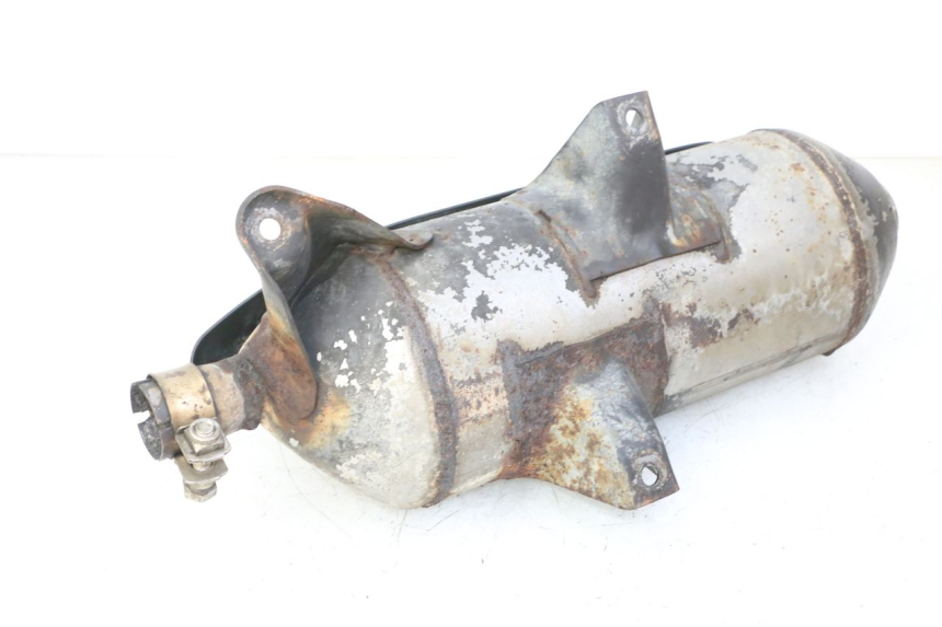 photo de ESCAPE PIAGGIO MP3 RL 250 (2007 - 2010)