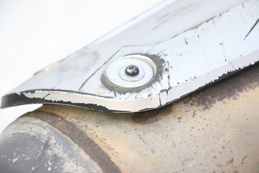 photo de ESCAPE PIAGGIO MP3 RL 250 (2007 - 2010)