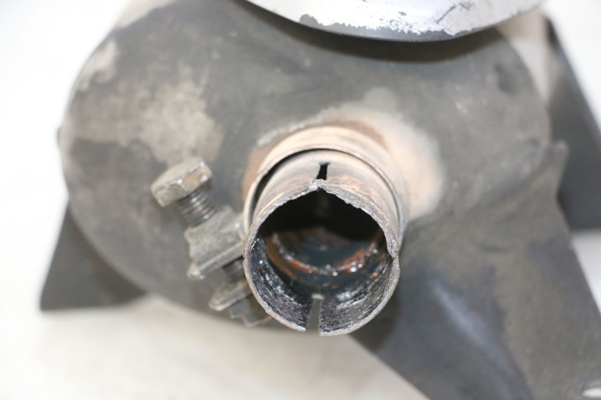 photo de ESCAPE PIAGGIO MP3 RL 250 (2007 - 2010)