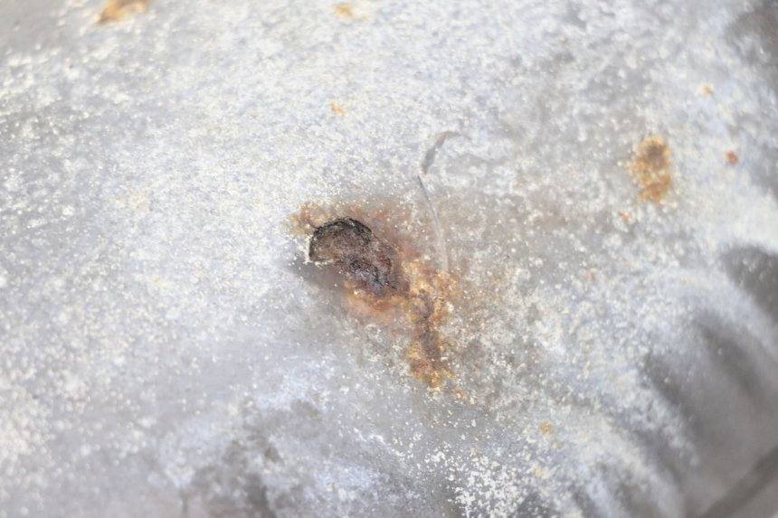 photo de ESCAPE YAMAHA YP MAJESTY 125 (2007 - 2010)