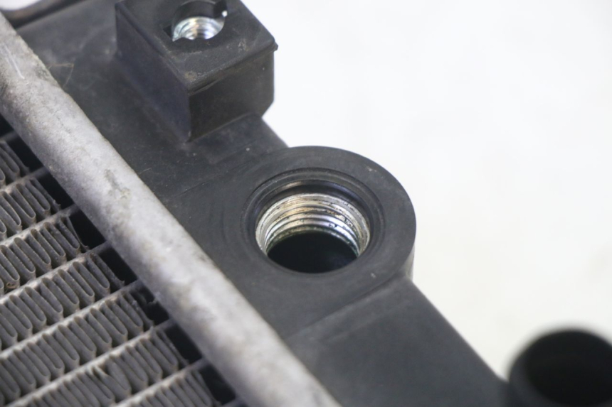 photo de RADIADOR  QUADRO 4 4D 350 (2015 - 2018)