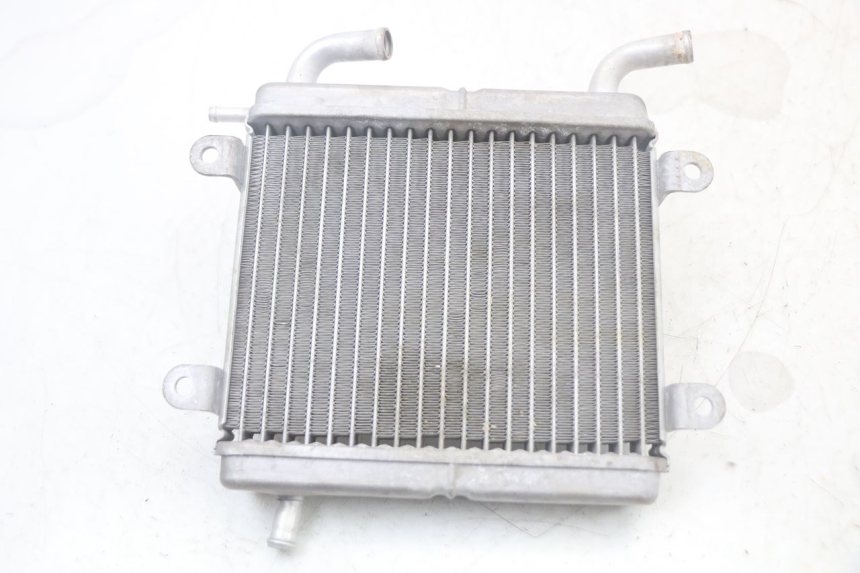 photo de RADIADOR YAMAHA AEROX 2T 50 (2013 - 2017)