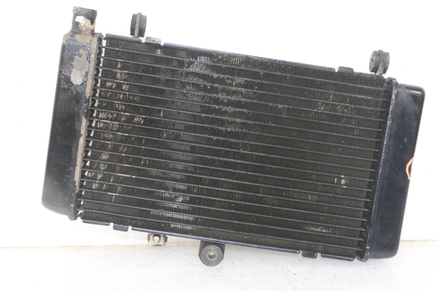 photo de RADIADOR  HONDA CBF 500 (2004 - 2007)
