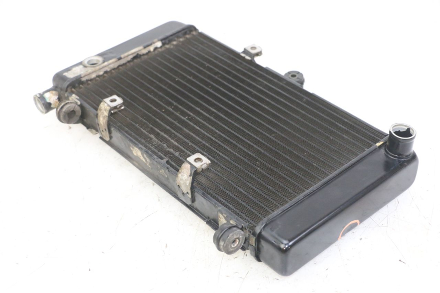 photo de RADIADOR  HONDA CBF 500 (2004 - 2007)