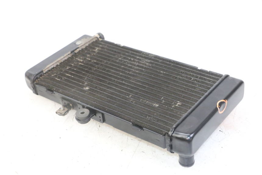 photo de RADIADOR  HONDA CBF 500 (2004 - 2007)