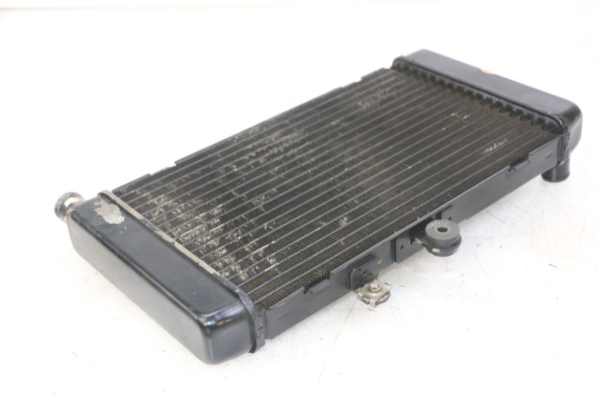 photo de RADIADOR  HONDA CBF 500 (2004 - 2007)
