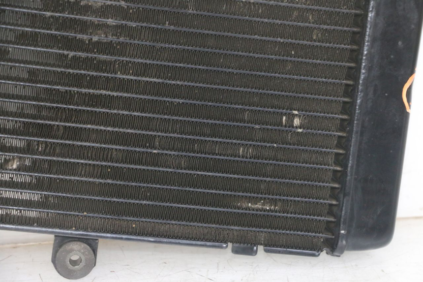 photo de RADIADOR  HONDA CBF 500 (2004 - 2007)