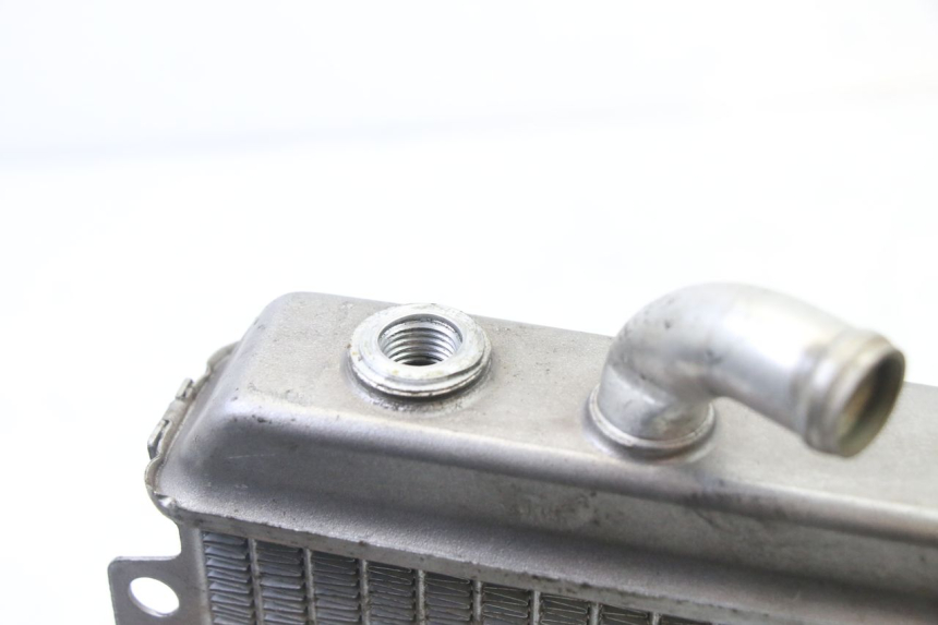 photo de RADIADOR PEUGEOT ELYSEO 125 (1999 - 2004)