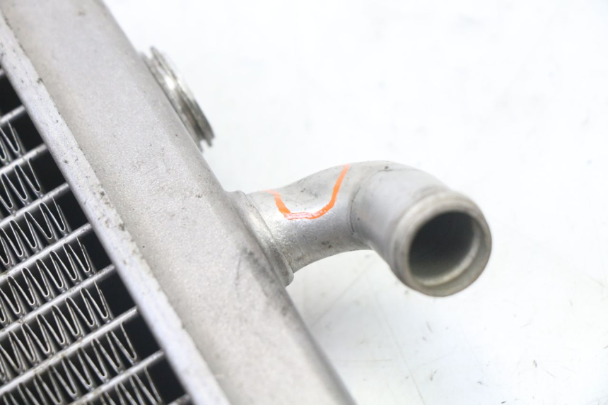 photo de RADIADOR PEUGEOT ELYSEO 125 (1999 - 2004)