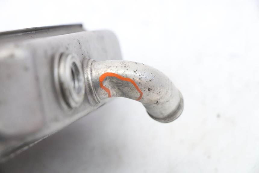 photo de RADIADOR PEUGEOT ELYSEO 125 (1999 - 2004)