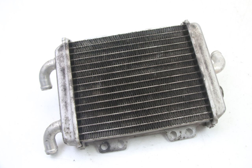 photo de RADIADOR PEUGEOT ELYSEO 125 (1999 - 2004)
