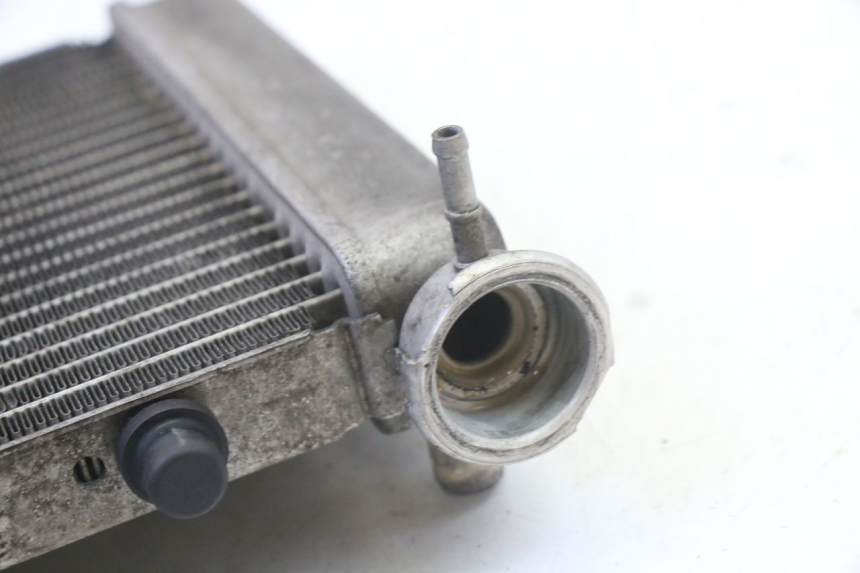 photo de RADIADOR HONDA FES S-WING SWING ABS 125 (2007 - 2015)