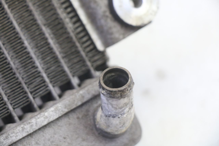 photo de RADIADOR HONDA FES S-WING SWING ABS 125 (2007 - 2015)