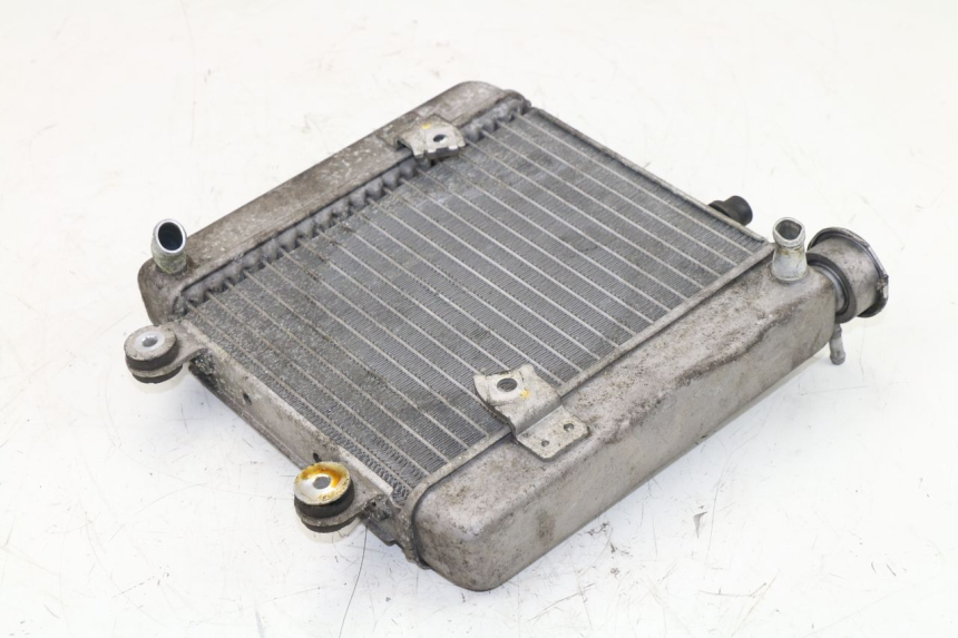 photo de RADIADOR  HONDA FES S-WING SWING 125 (2007 - 2015)