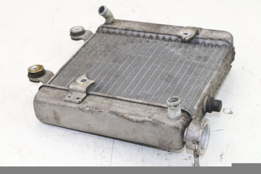 photo de RADIADOR  HONDA FES S-WING SWING 125 (2007 - 2015)