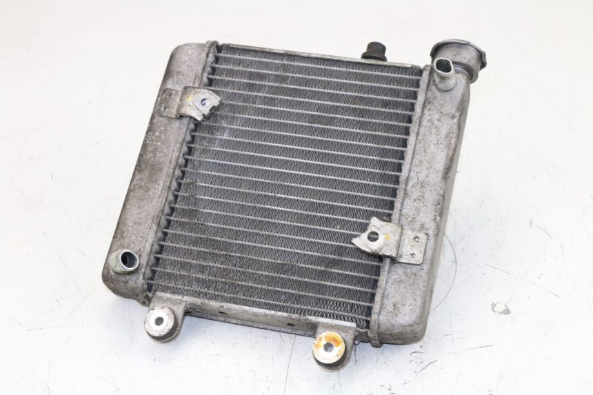 photo de RADIADOR  HONDA FES S-WING SWING 125 (2007 - 2015)