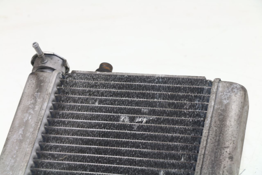 photo de RADIADOR  HONDA FES S-WING SWING 125 (2007 - 2015)