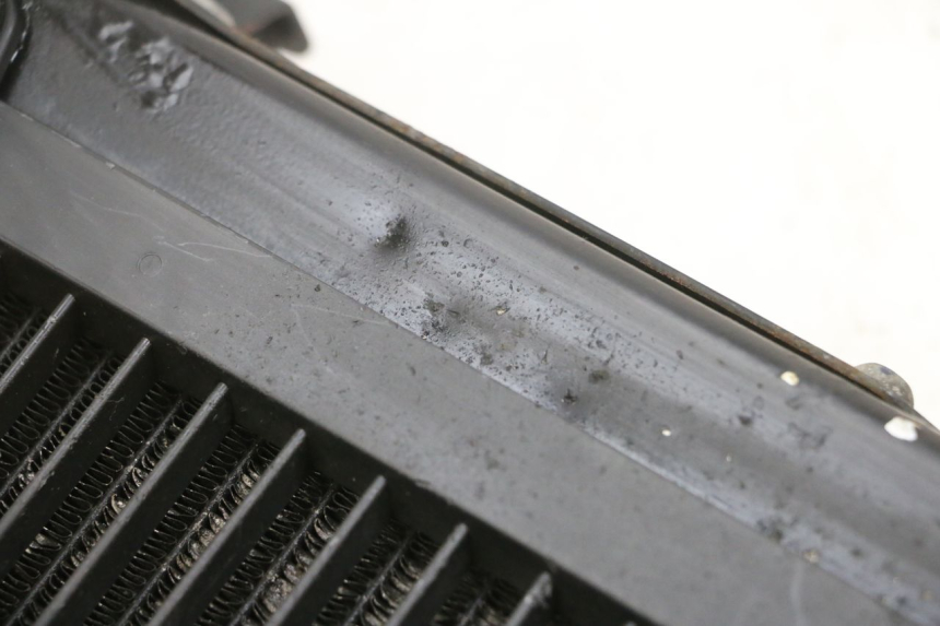 photo de RADIADOR YAMAHA FJR ABS 1300 (2006 - 2012) - Vista general del producto