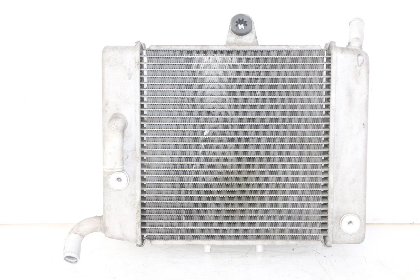 photo de RADIADOR  HONDA FORZA ABS 300 (2013 - 2019)