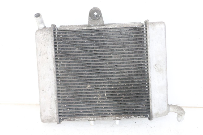 photo de RADIADOR  HONDA FORZA ABS 300 (2013 - 2019)