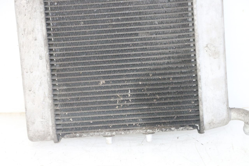 photo de RADIADOR  HONDA FORZA ABS 300 (2013 - 2019)