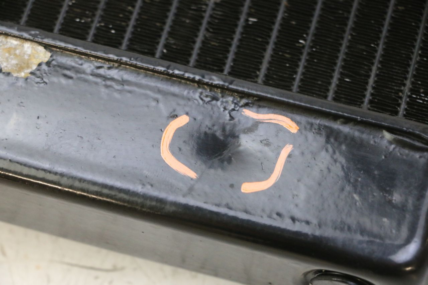 photo de RADIADOR  YAMAHA FZ6 N FAZER 600 (2004 - 2006)