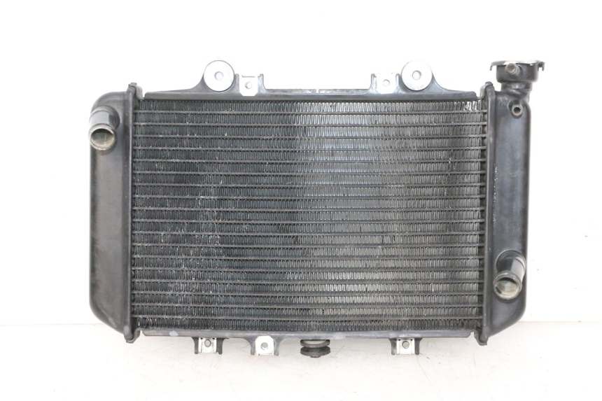 photo de RADIADOR  BMW G310 R 310 (2016 - 2020)