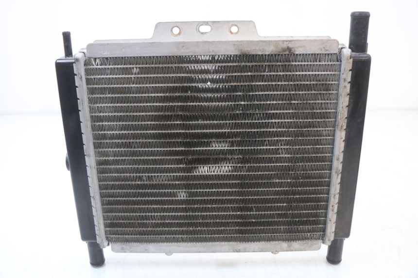photo de RADIADOR  PEUGEOT GEOPOLIS RS 125 (2007 - 2009)