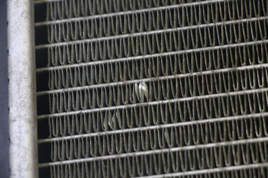 photo de RADIADOR  KYMCO GRAND DINK 125 (2002 - 2007)