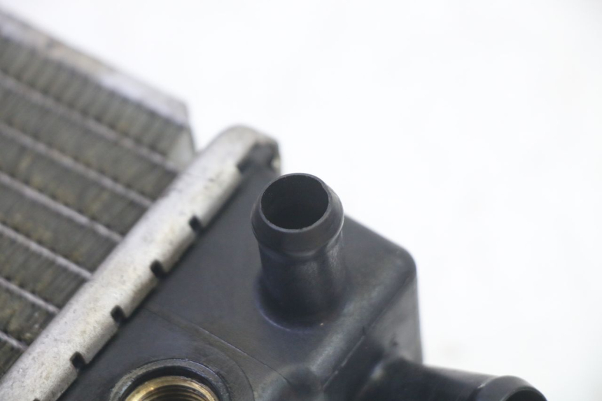 photo de RADIADOR  KYMCO GRAND DINK 125 (2002 - 2007)