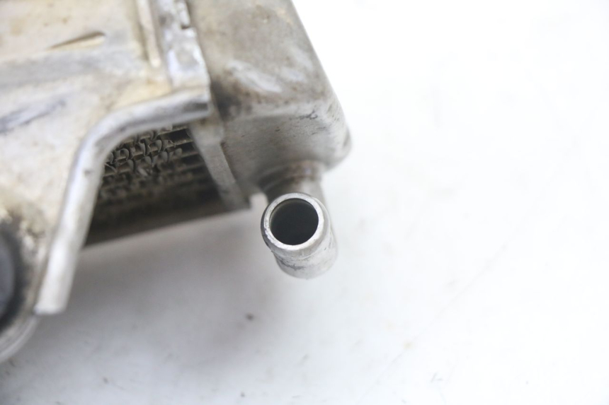 photo de RADIADOR  HONDA CR 85 (2003 - 2007)
